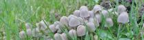 Diverses Photos