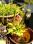 IMG_20140517_134008