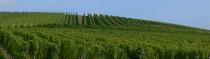 Alsace