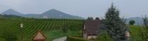 Alsace