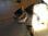 IMAG0205