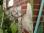 Photo0135